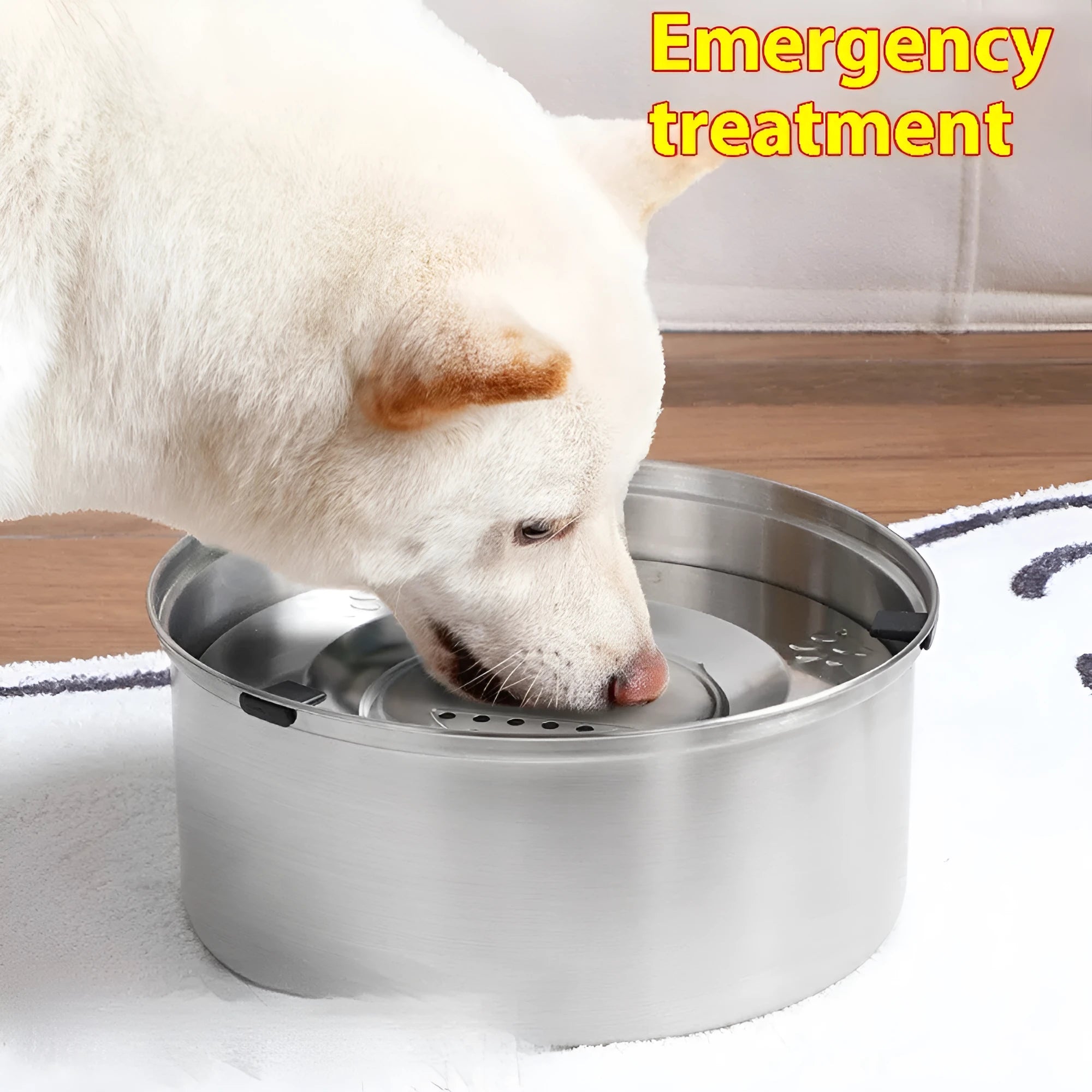 Silver stainless steel large capacity pet water bowl for dogs and cats with 304 material construction