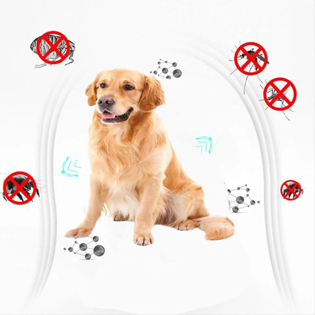 Double-sided plastic flea comb and a small separate face comb for pet grooming.