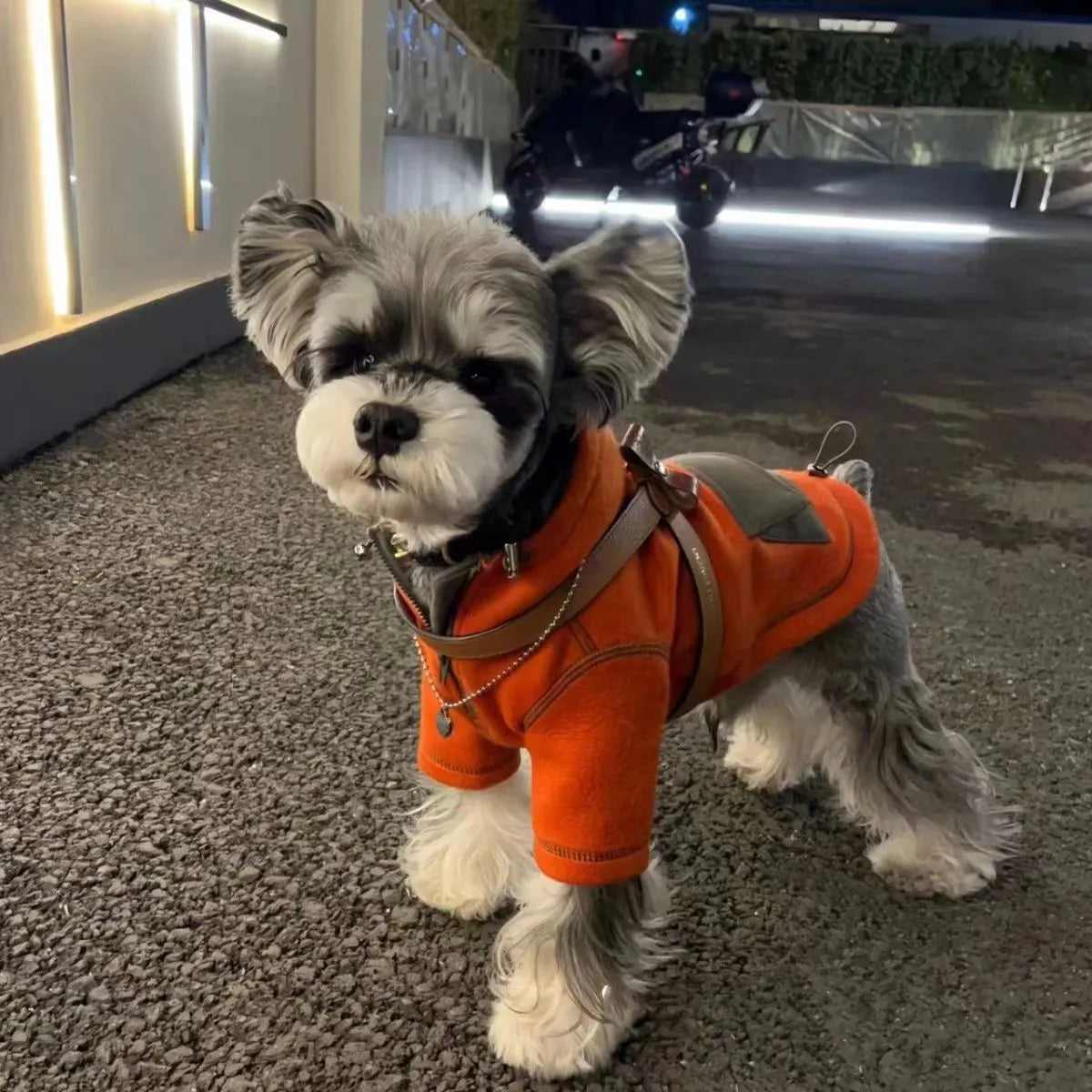 Red polyester hooded sweater for small dogs with two feet openings on a neutral background