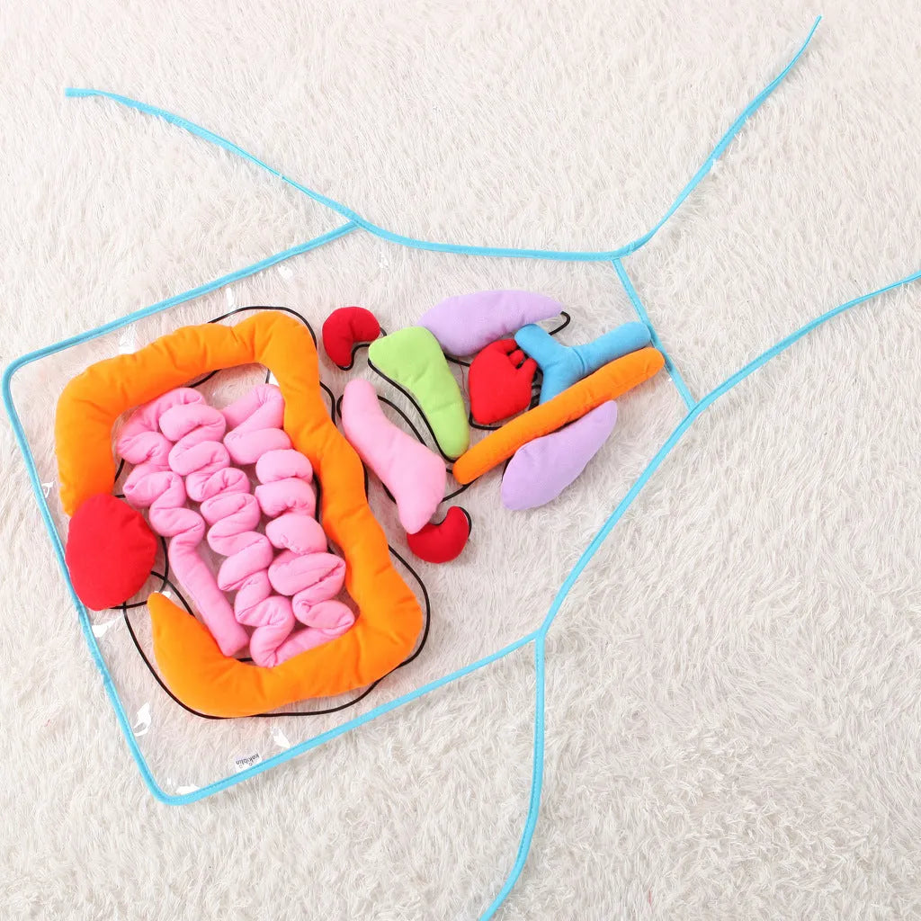 Green kids plush anatomy apron with movable body organs laid out on a table