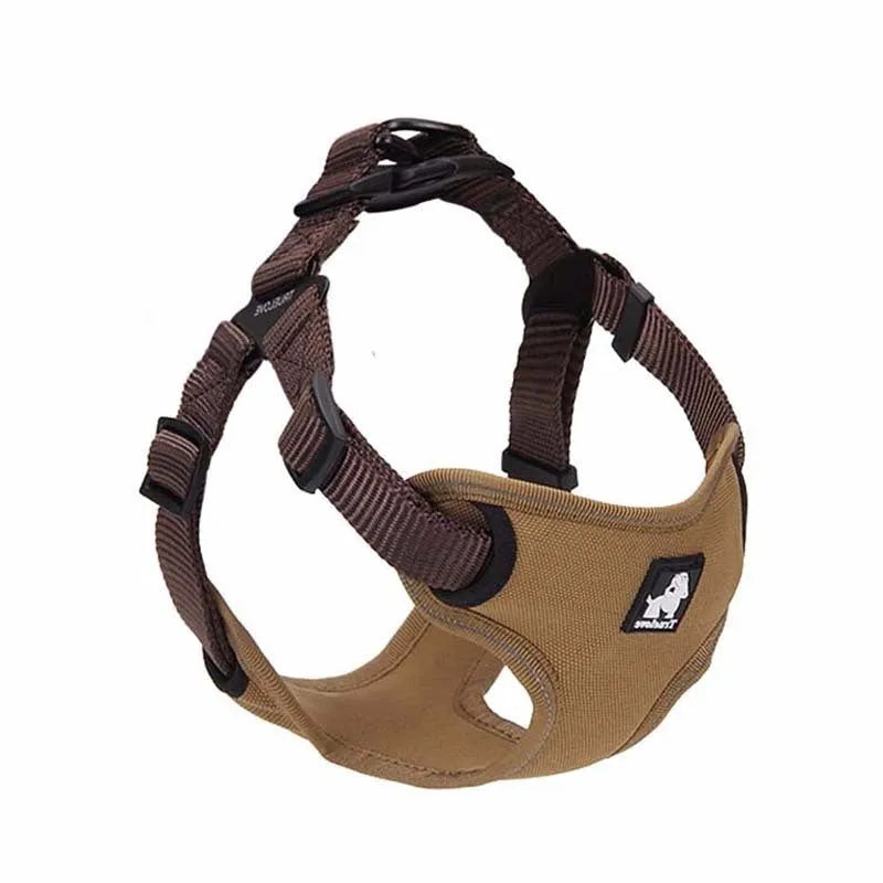 Dog leash collar in Oxford cloth with breathable mesh and zinc alloy clip, available in multiple sizes and colours