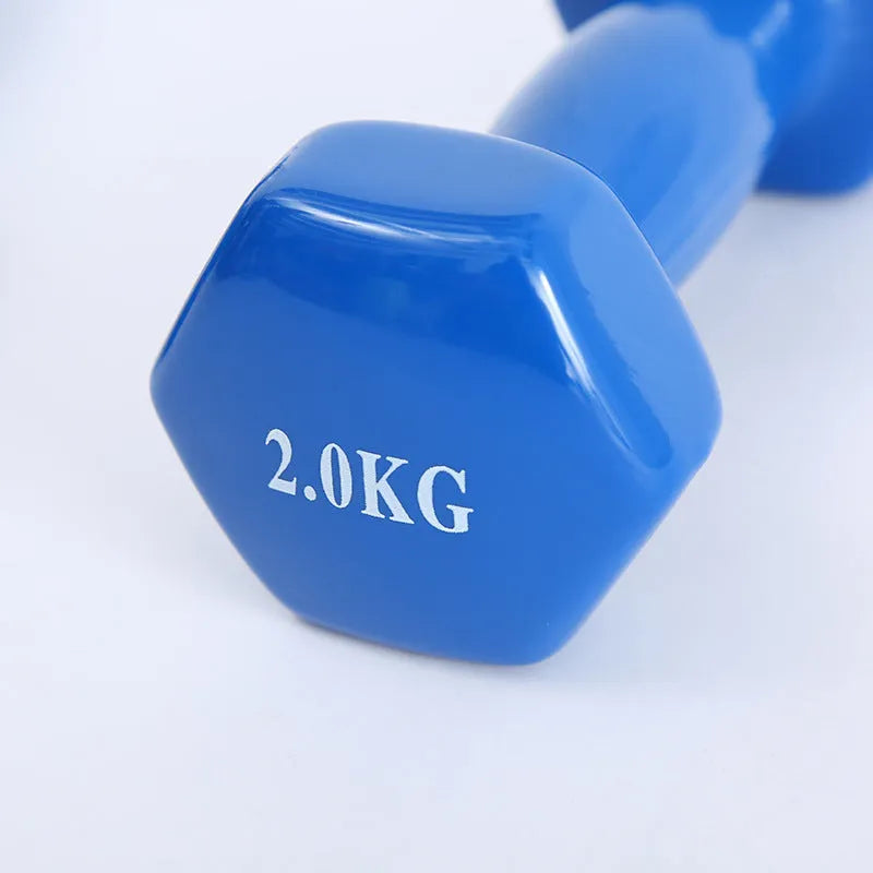 Bright colour plastic fitness dumbbells with glossy surface in 0.5kg 1kg 1.5kg weights for home workouts
