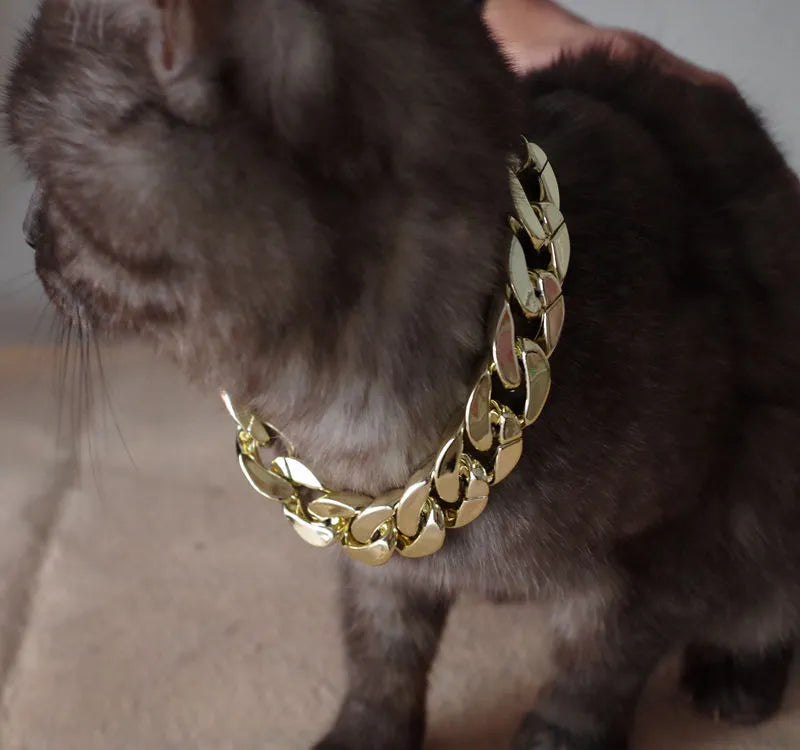 Gold-plated pet dog necklace with extender chain, gold finish, on a small dog