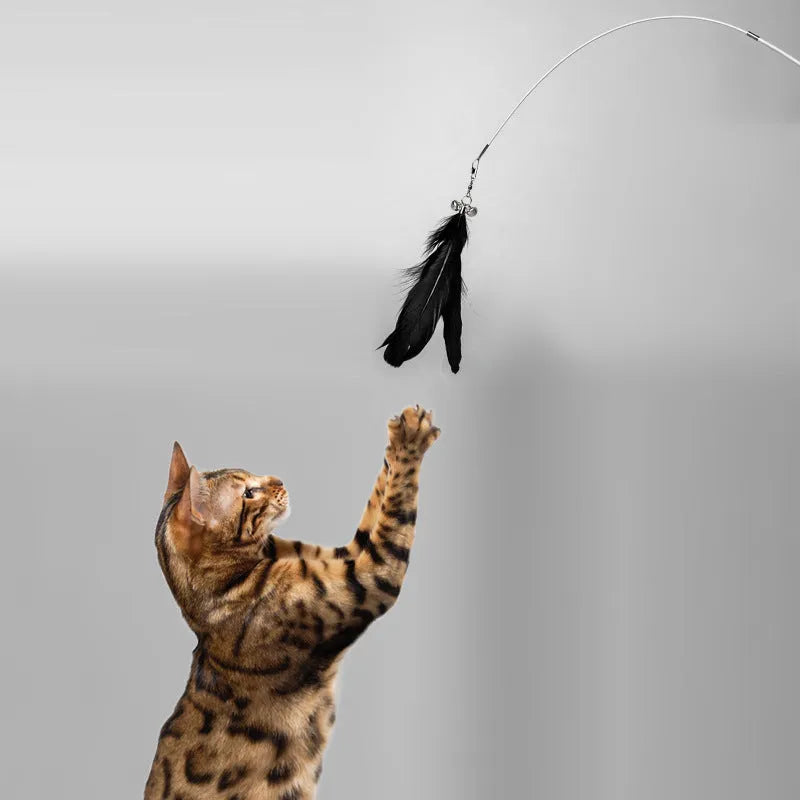 Telescopic cat fishing rod toy with goose feather teaser and removable bell, showing extended and collapsed positions