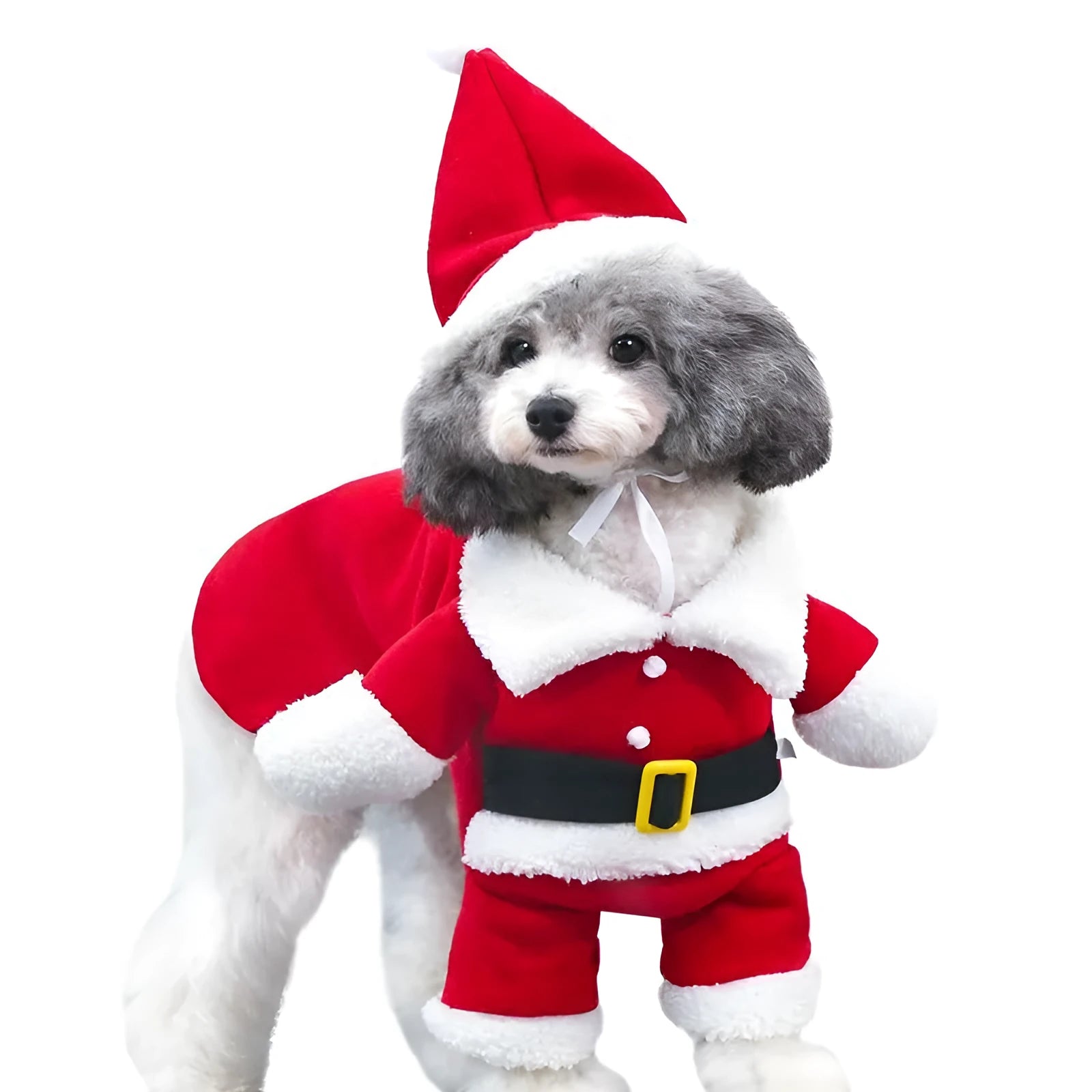 Red polar fleece Santa Claus costume for a small dog standing on a festive background.