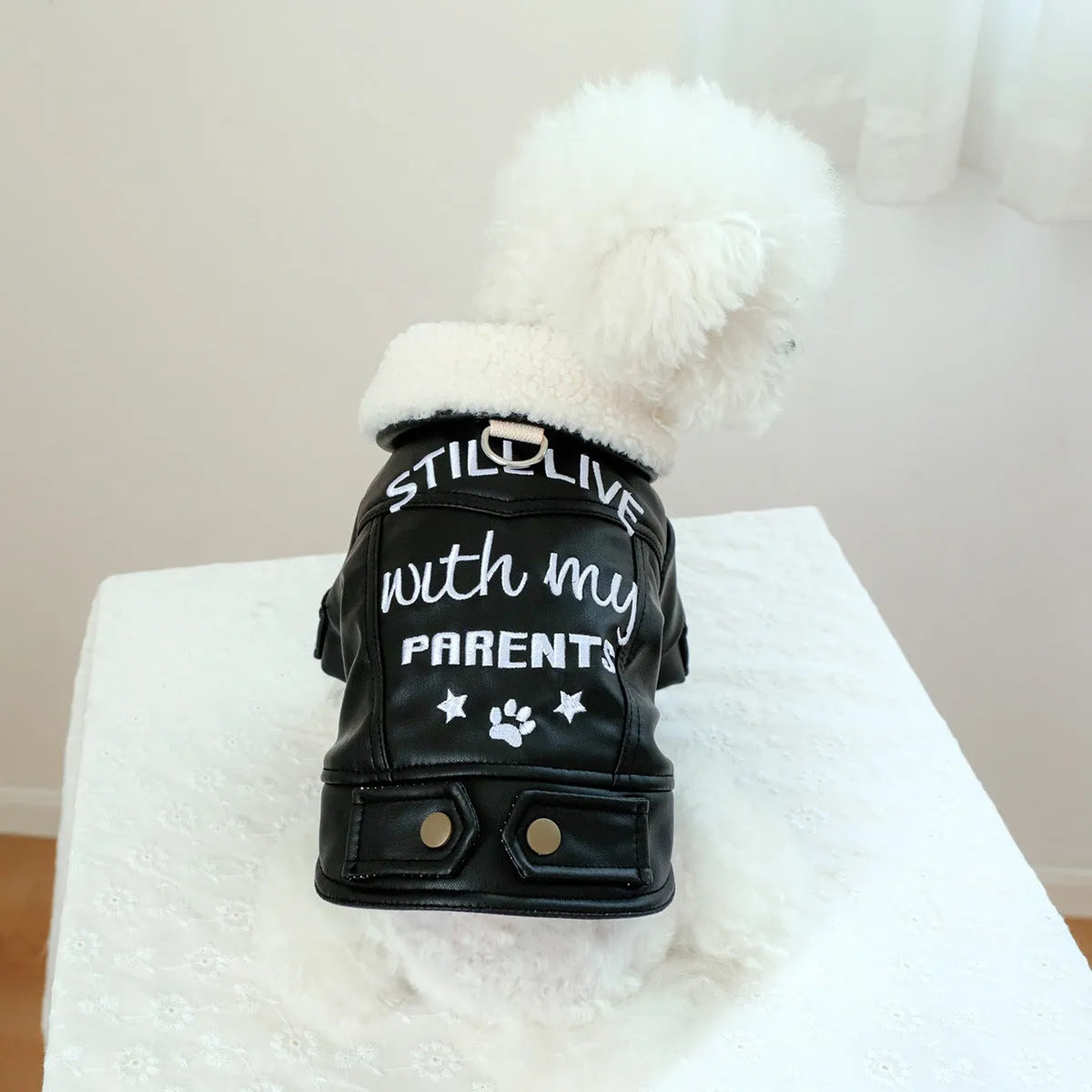 Dog wearing fleece lined padded coat with large fur trim collar in black colour