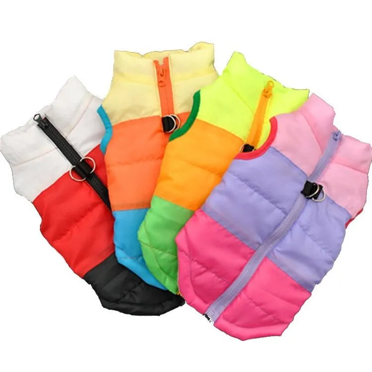 Autumn winter puppy jacket vest with traction buckle in striped pattern for small dogs, available in multiple colours