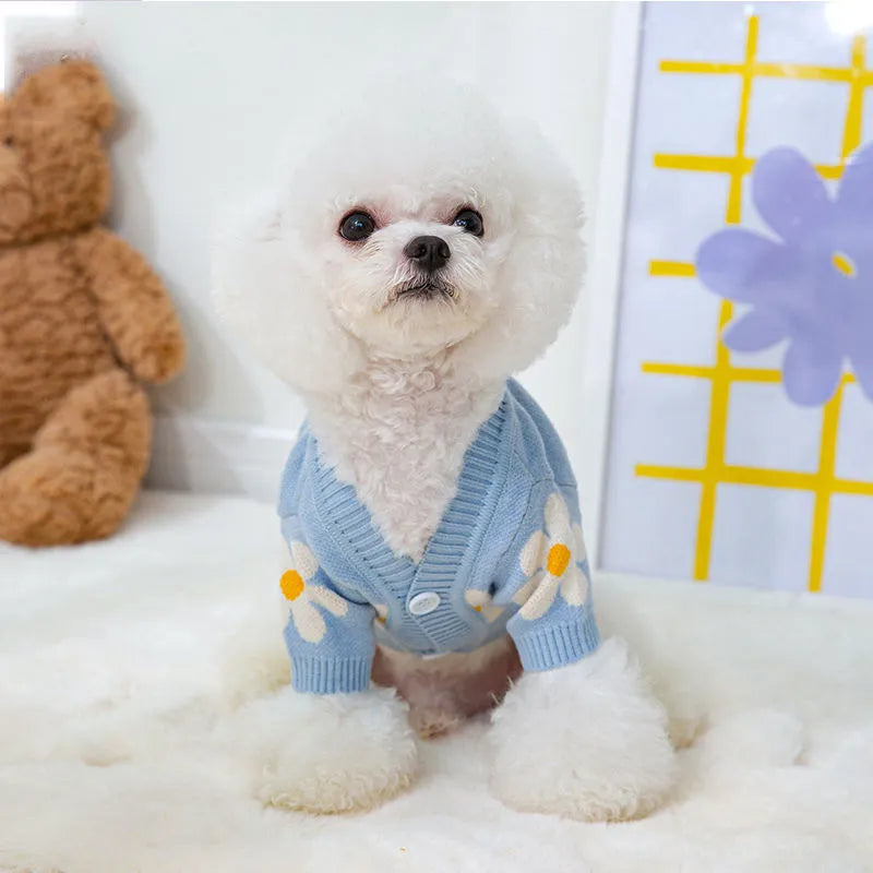 Small dog wearing blue polyester autumn winter clothing with weight-based sizing guide
