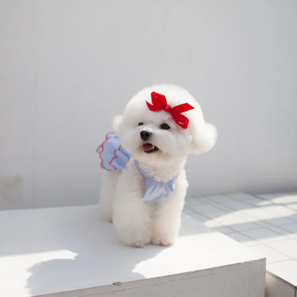 Summer thin pet princess dress in polyester, suspender skirt cartoon style, sizes XS to XL