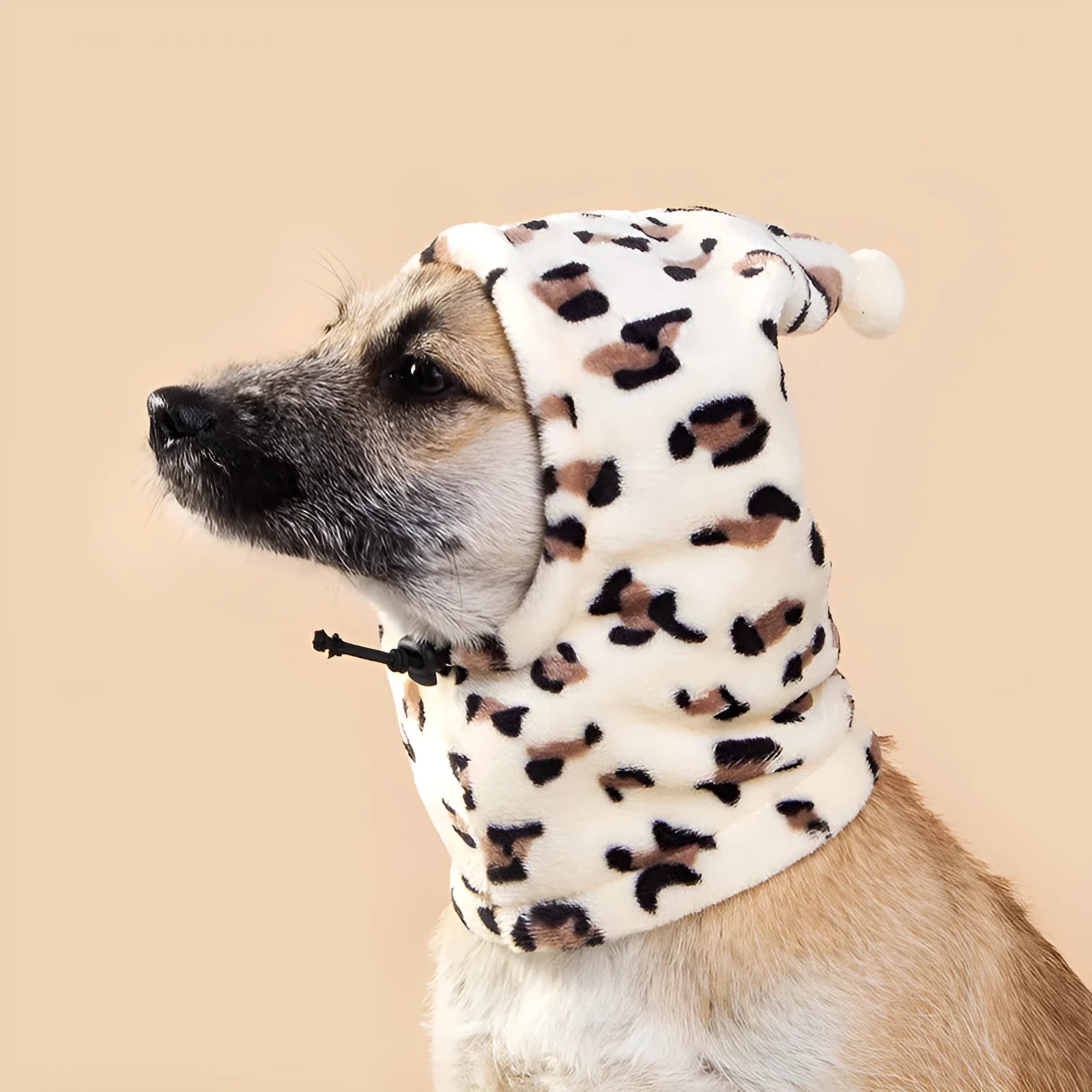 Cloth bear headdress pet hat with rabbit ears on a dog, showing leopard print colour option.