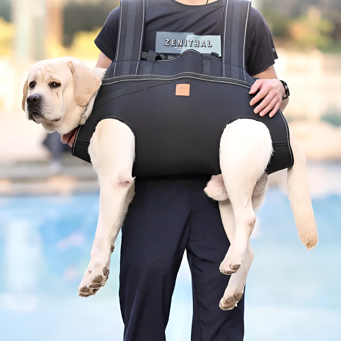Black Oxford cloth dog backpack carrier for medium and large breeds in three size options