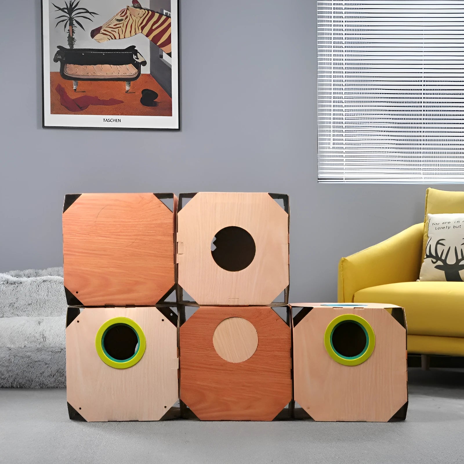 DIY cat hiding box with ABS+TPR circles and cardboard carton for hair removal