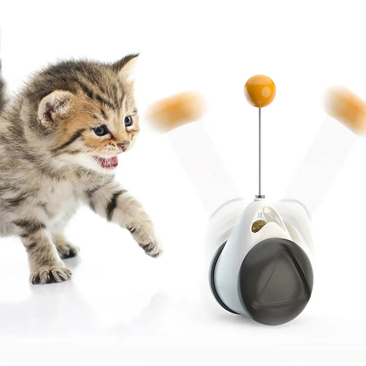 Balance swing car funny cat toy in blue plastic on floor, swinging design