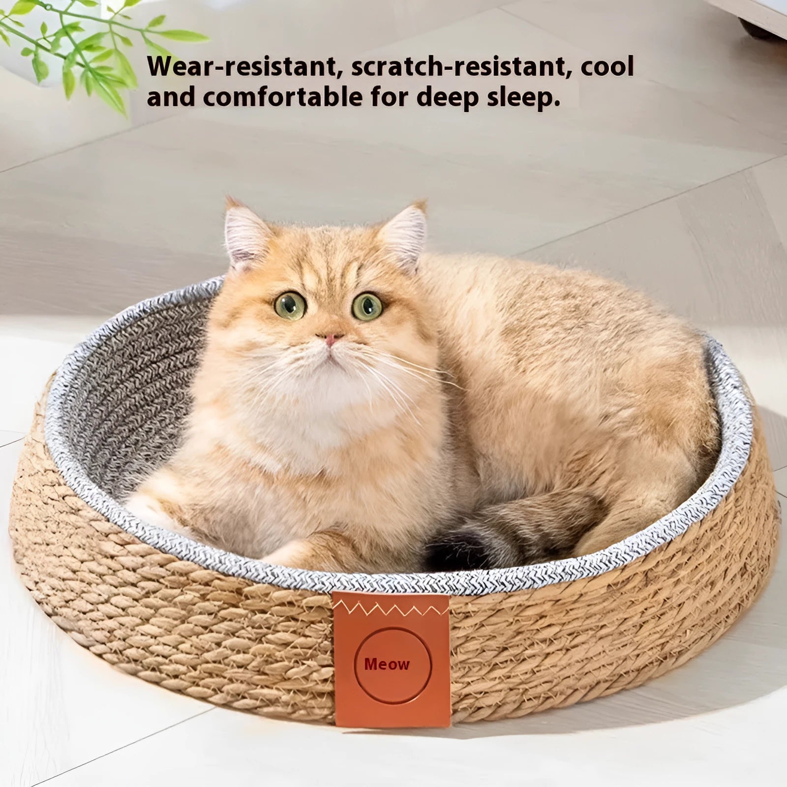 A rattan woven cat nest bed available in sizes S, M, L, and XL for pet comfort.
