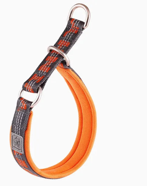 Dog P chain walking collar in nylon webbing with aluminium alloy hardware, available in multiple sizes and colours