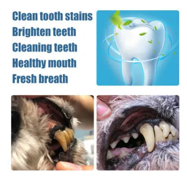 Yegbong pet teeth whitening pen kit with 3ml gel, solution and dental brushes for dogs and cats