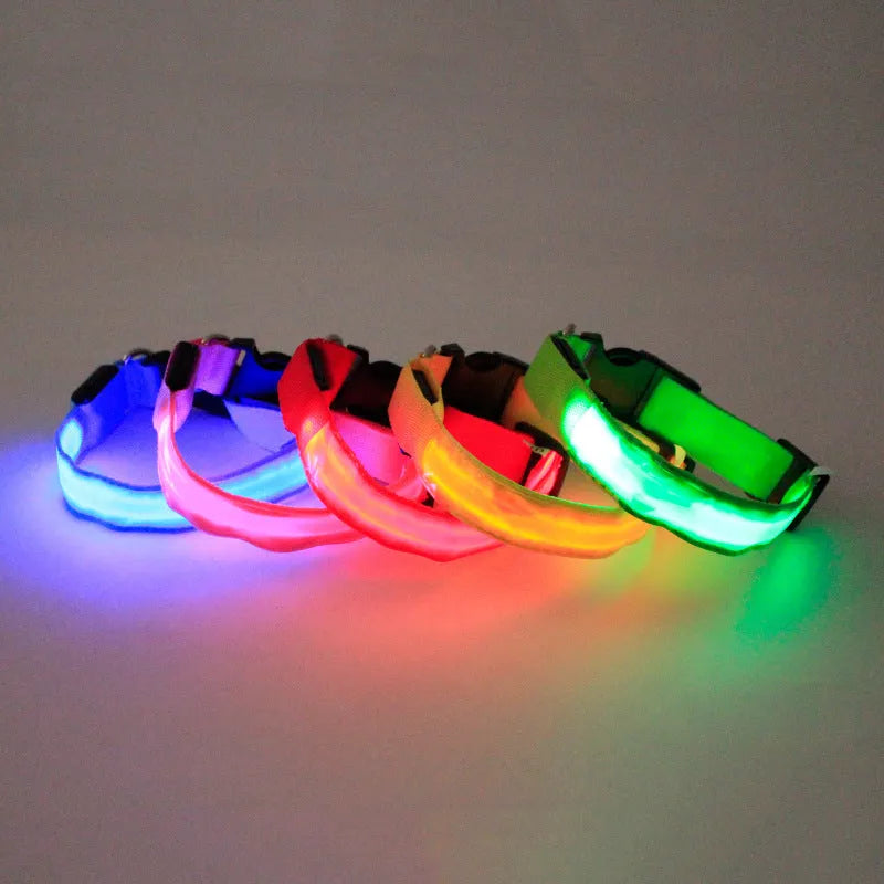 Nylon dog collar in four colours with buckle, available in S, M, L sizes with 2.5 cm width