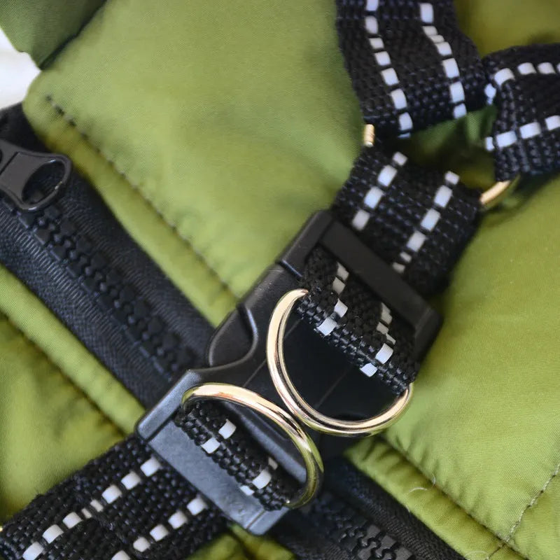 Small dog wearing a waterproof reflective coat with zipper and adjustable strap, available in multiple colours and nine sizes
