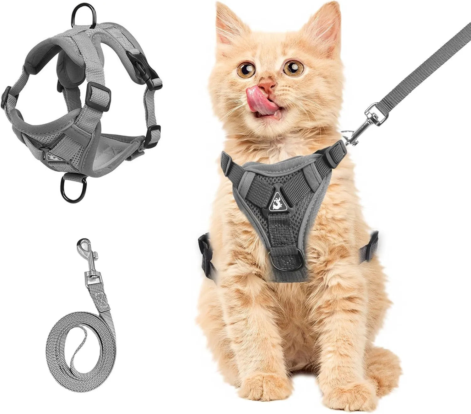 Blue adjustable mesh cat harness with reflective strips and leash for outdoor walks
