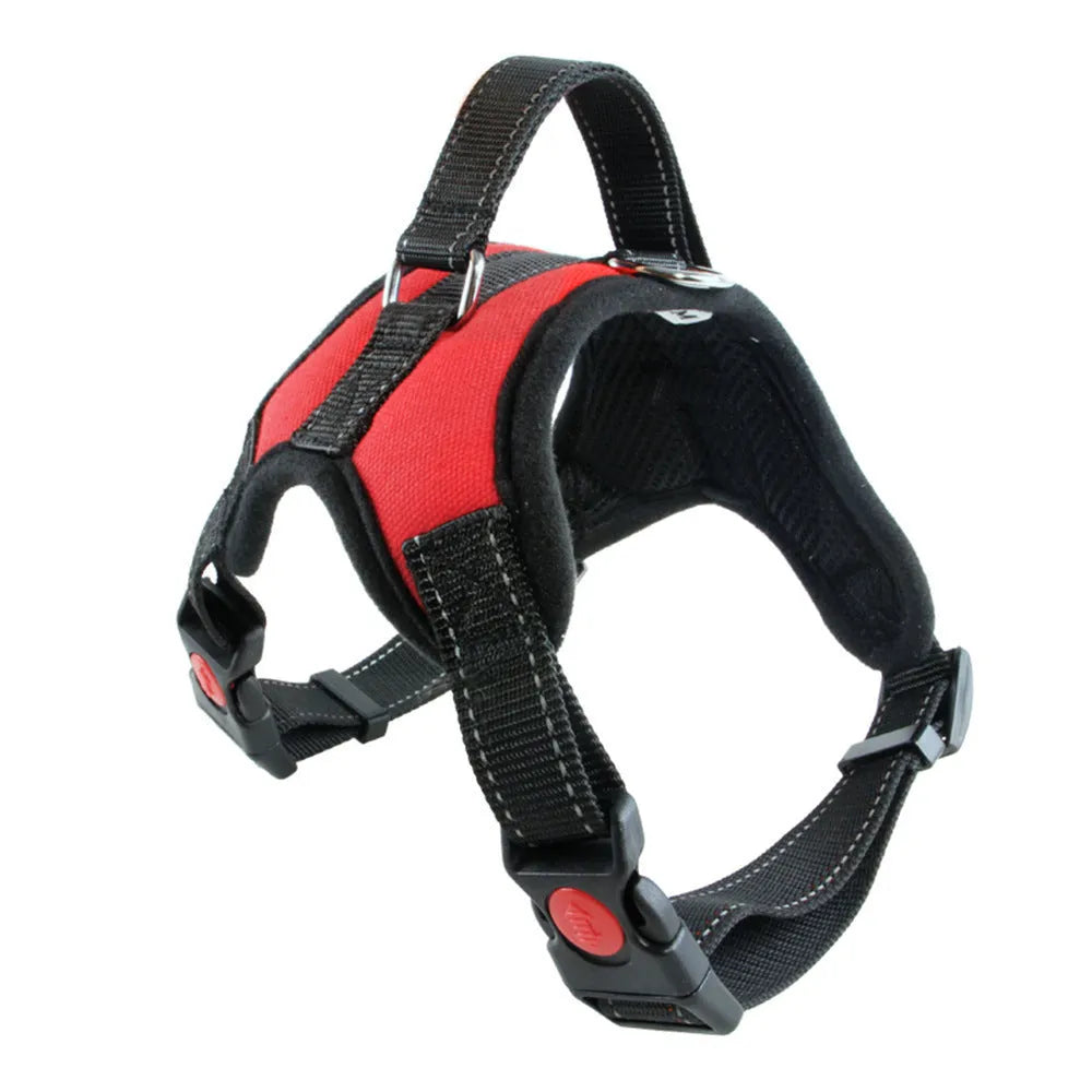 Black nylon dog collar with matching lead on a dog's neck, set on a plain background.