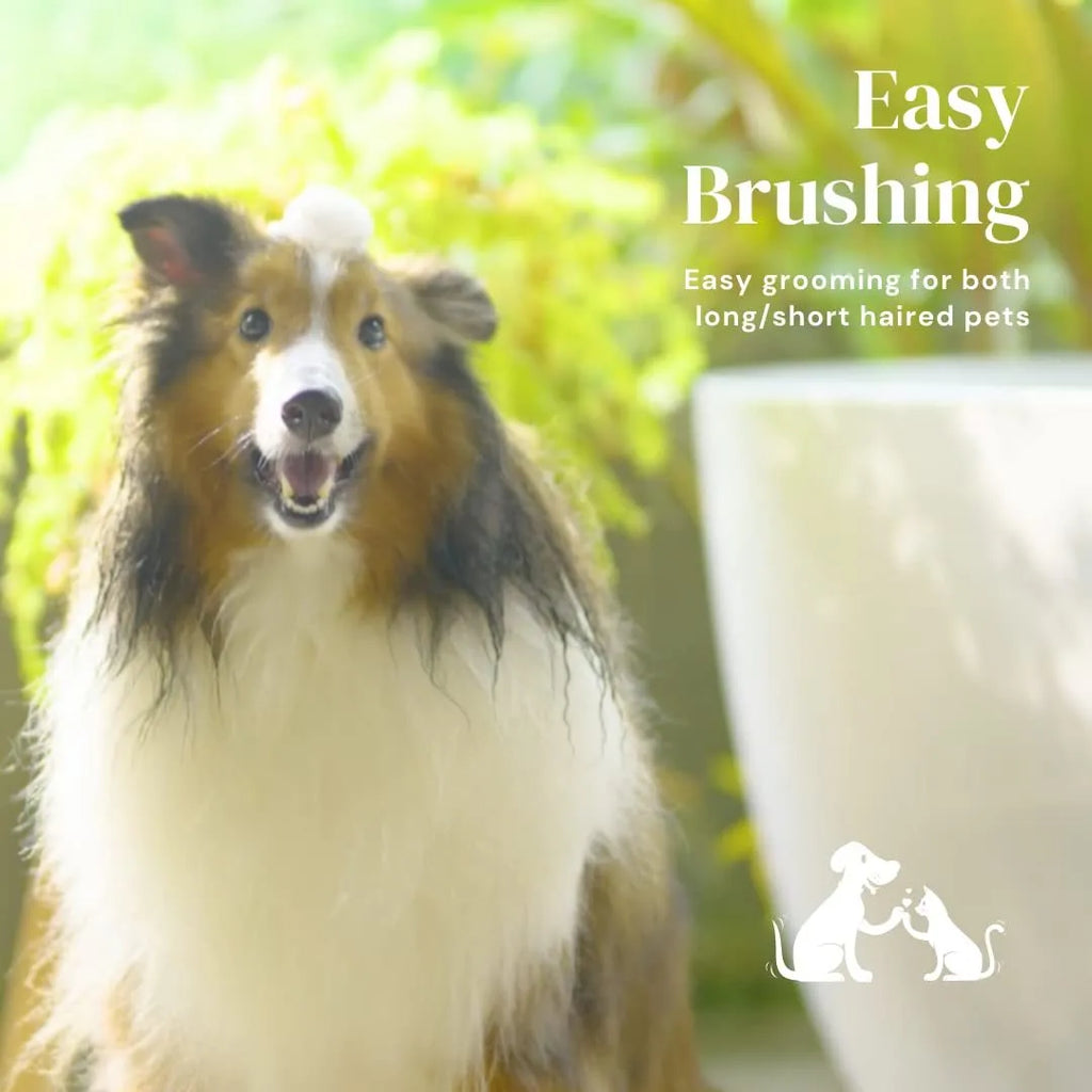 Self-cleaning slicker brush for dogs and cats with blue rubber handle and stainless steel pins