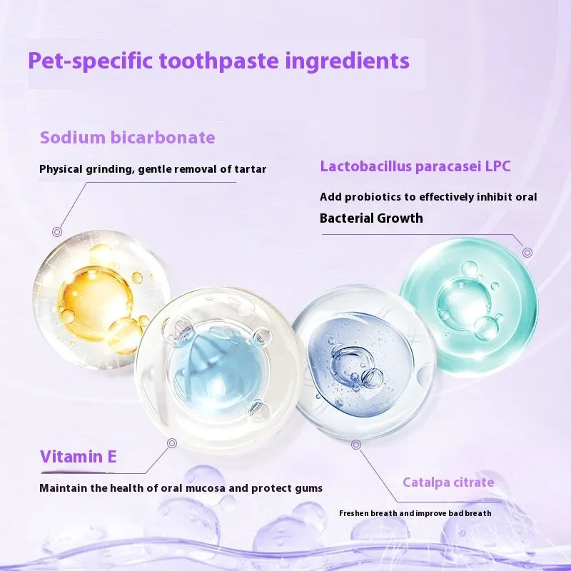 Pet toothbrush pen applicator for dog and cat teeth cleaning with 5ml gel