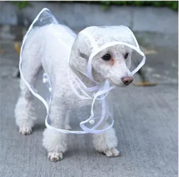 Transparent PVC dog raincoat with hood, adjustable waist and chest, sizes XS to 2XL