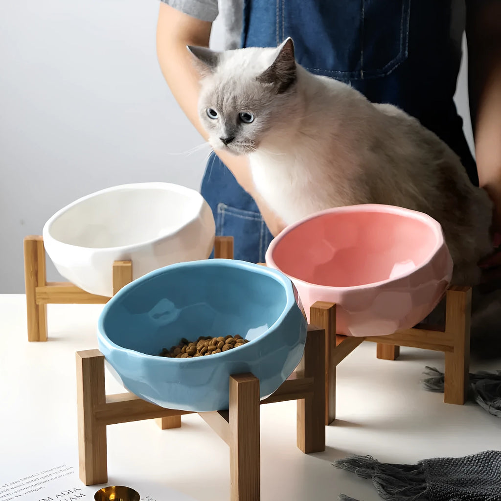 Oblique mouth plastic pet food bowl for cats and dogs in blue