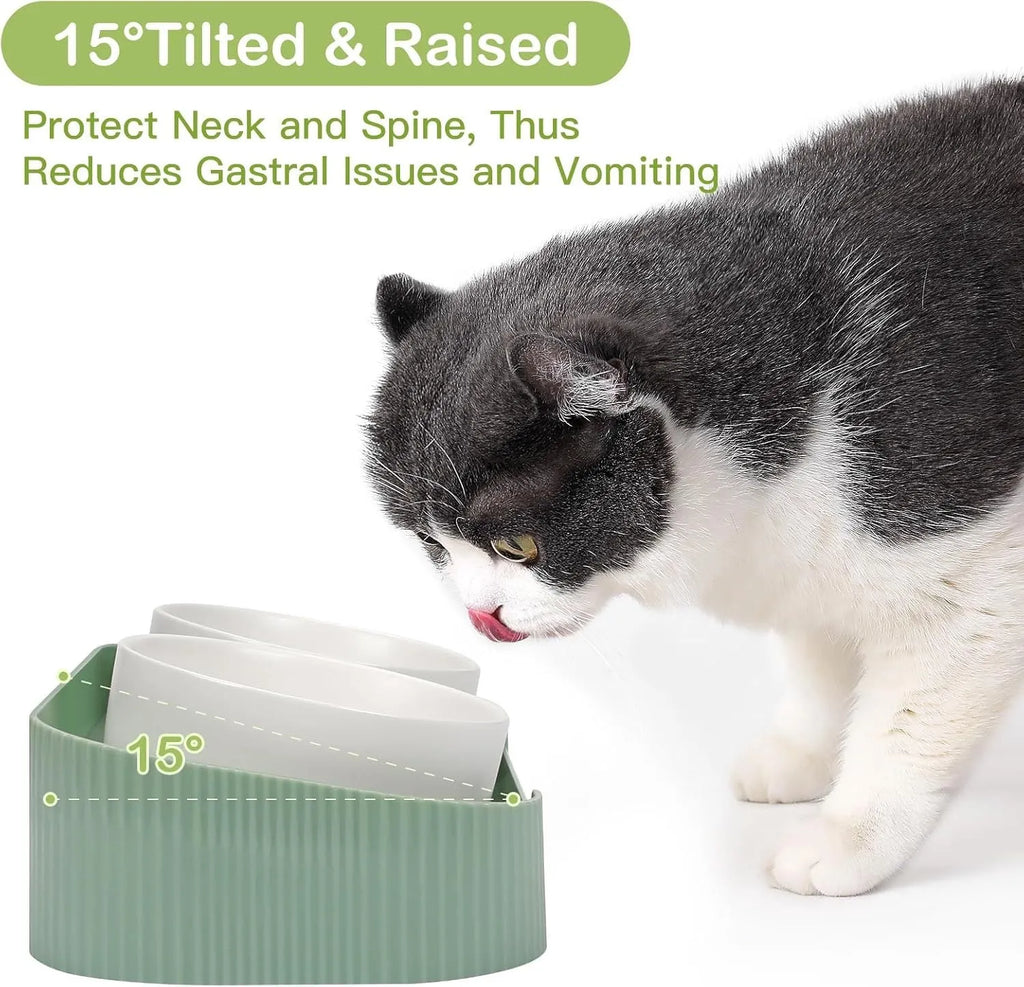 Ceramic elevated cat bowls with 15 degree tilted stand in green, white and yellow colours