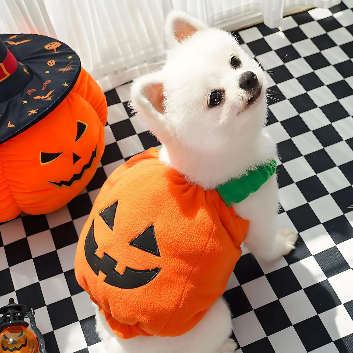 Orange plush pumpkin Halloween costume for small dog with pullover design and festive appearance