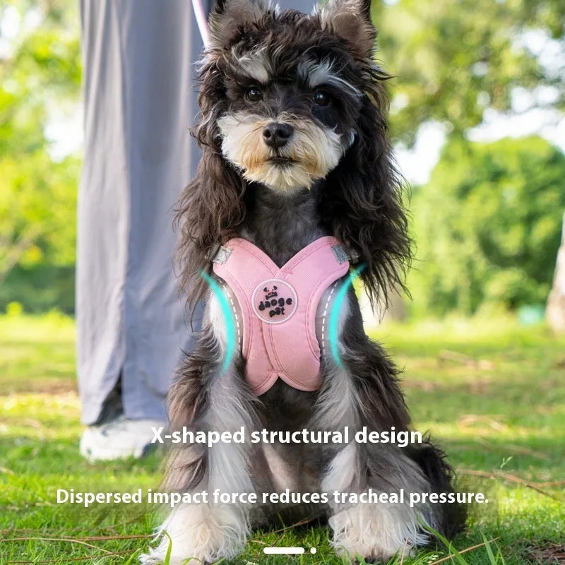 Polyester dog vest and hand-holding rope set in blue, green, pink, or yellow.