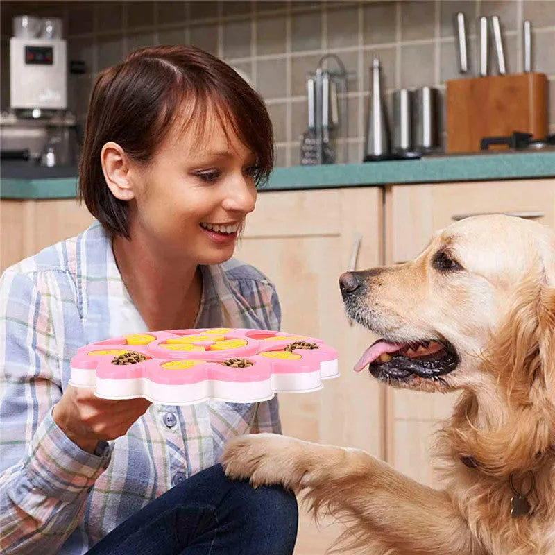 Blue PP plastic dog food tray with raised edges for containing pet food and water spills