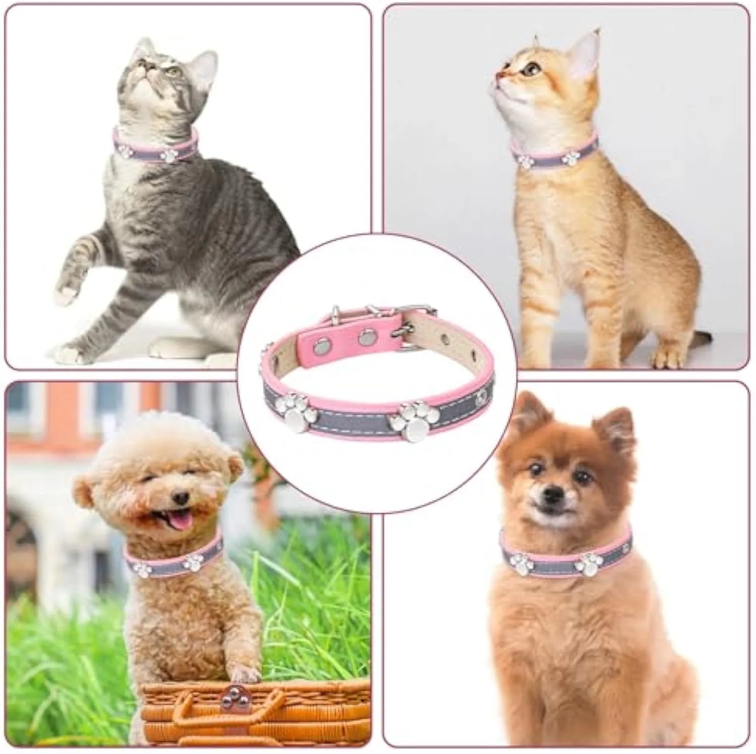 Reflective leather dog collar with paw-shaped rivets and adjustable metal buckle