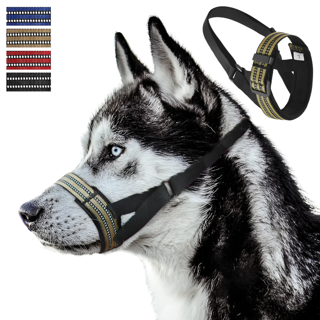 Adjustable reflective dog muzzle in blue on a large dog, showing straps and breathable design