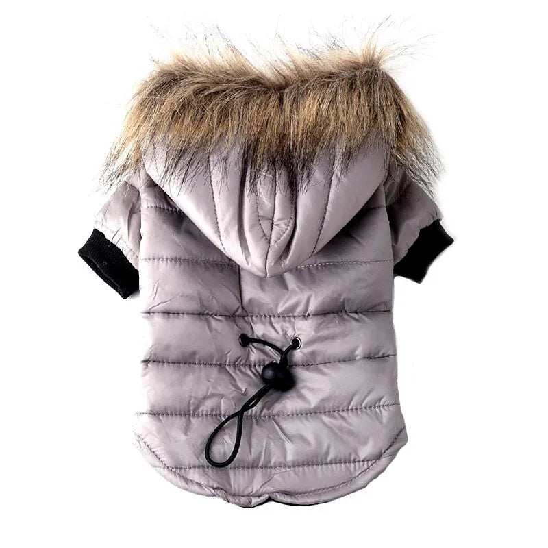Red polyester knit pet sweater teddy dog coat autumn winter clothing S M L XL sizes