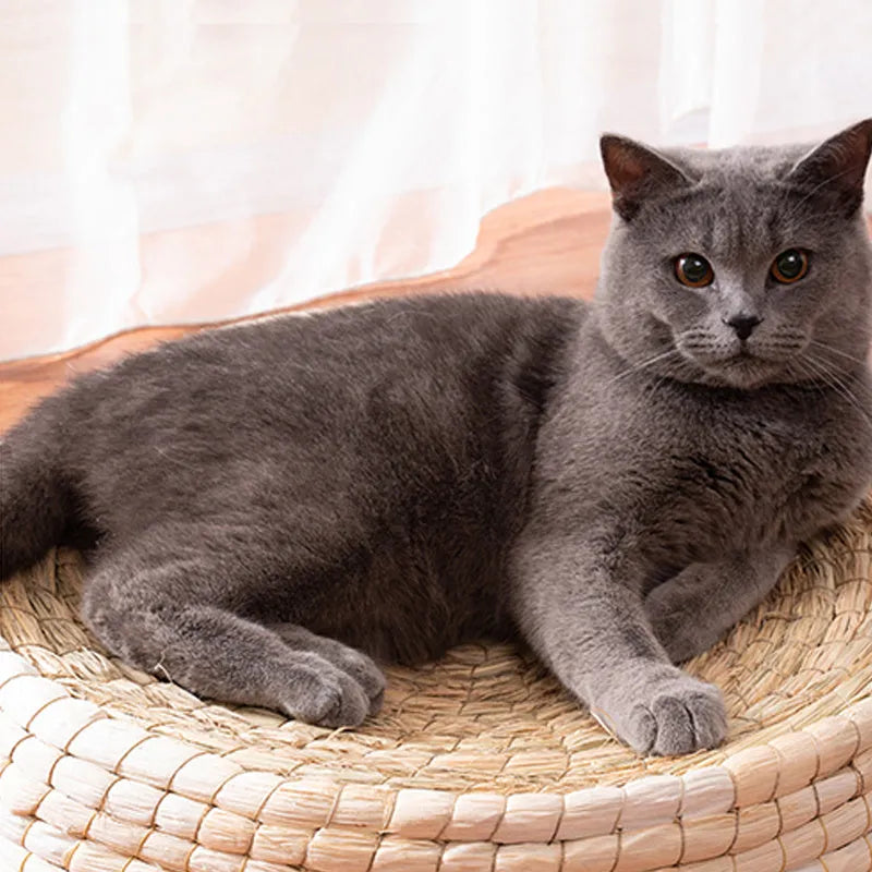 Teng Wok handwoven straw and corn husk cat bed, 35cm caliber, natural colour, for small indoor cats