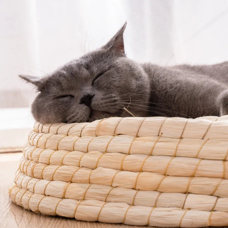 Teng Wok handwoven straw and corn husk cat bed, 35cm caliber, natural colour, for small indoor cats