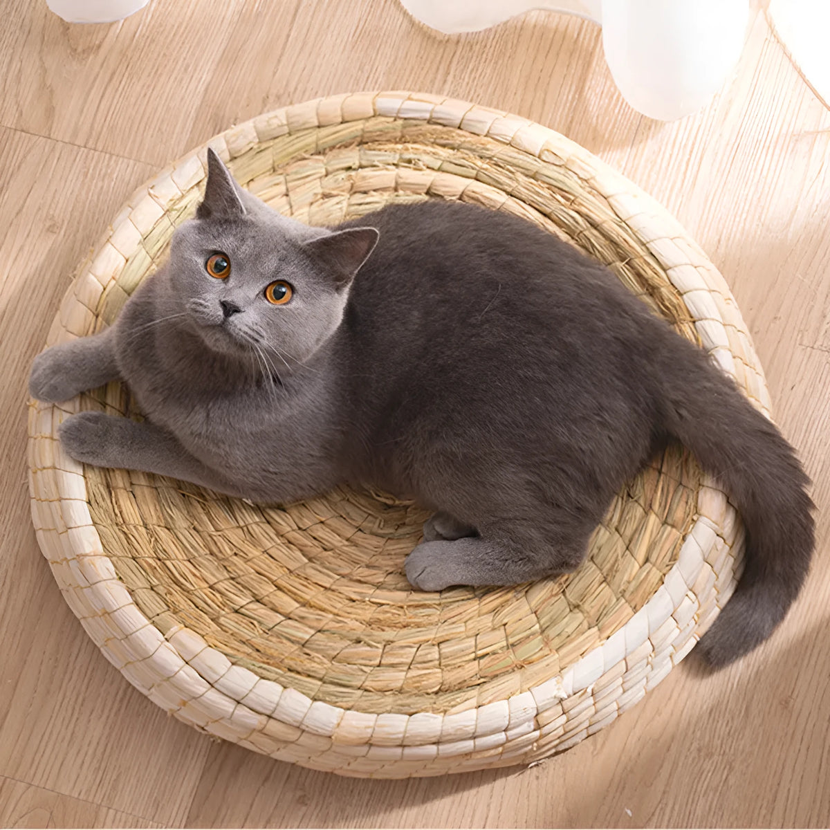 Teng Wok handwoven straw and corn husk cat bed, 35cm caliber, natural colour, for small indoor cats
