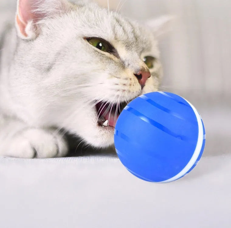 LED rolling flash ball pet toy in rubber with USB charging, shown in black, blue, and pink colour options