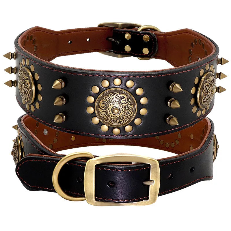 Real leather stud dog collar in brown with metal spikes for large pitbull and bulldog breeds