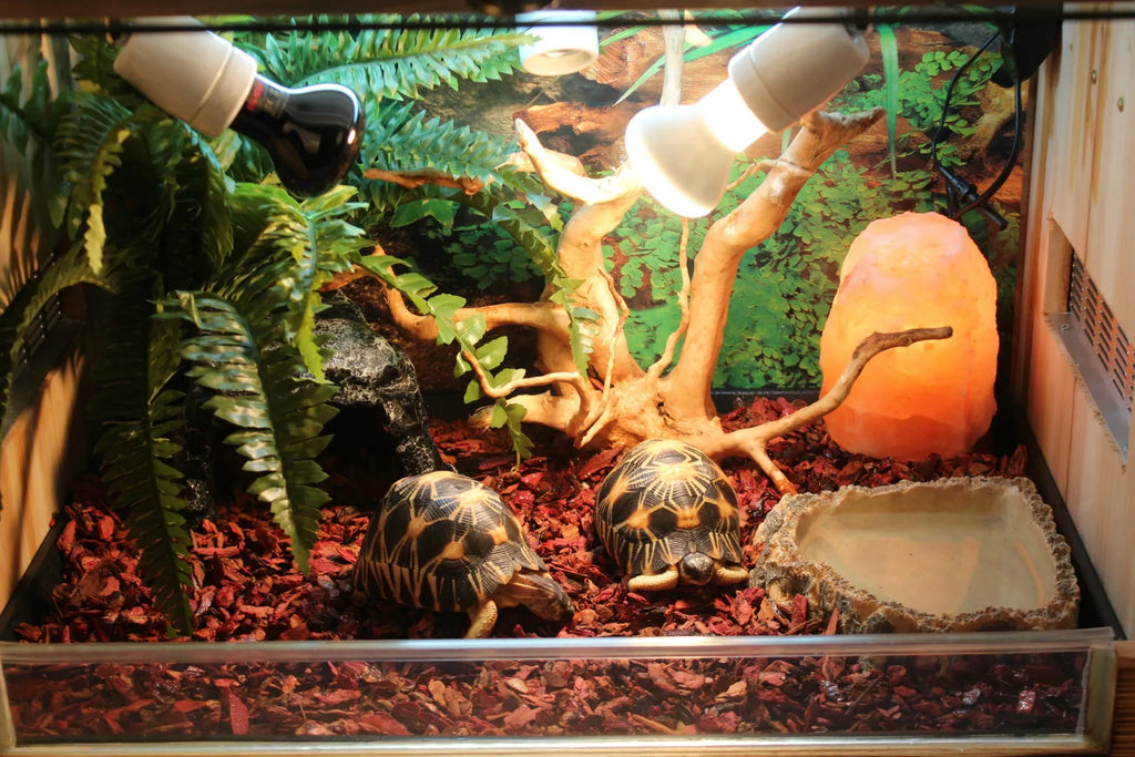 Borozo resin reptile cave hideout for tortoise snake lizard, small and large sizes, as shown colour