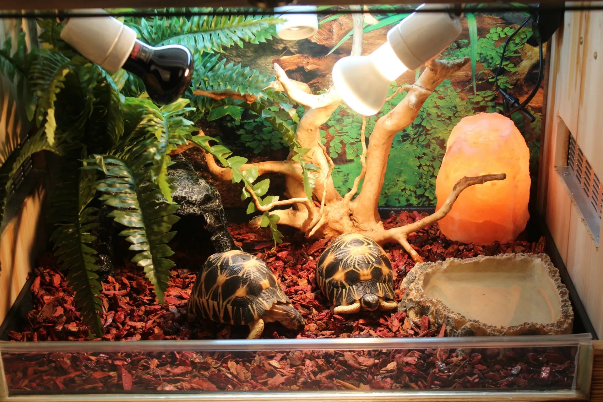 Borozo resin reptile cave hideout for tortoise snake lizard, small and large sizes, as shown colour