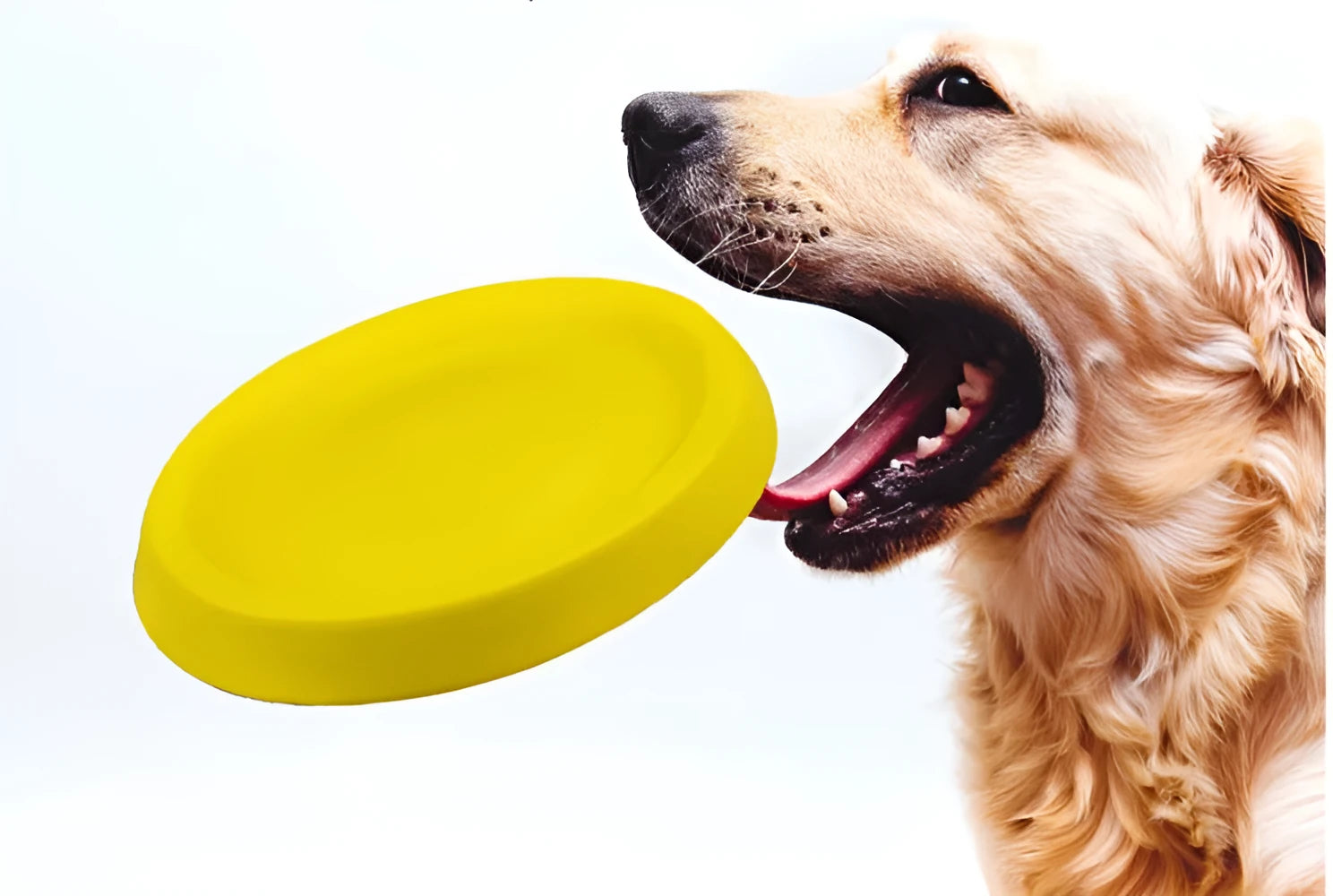 Bright yellow EVA dog throwing toy weighing 70 grams for training and interactive play