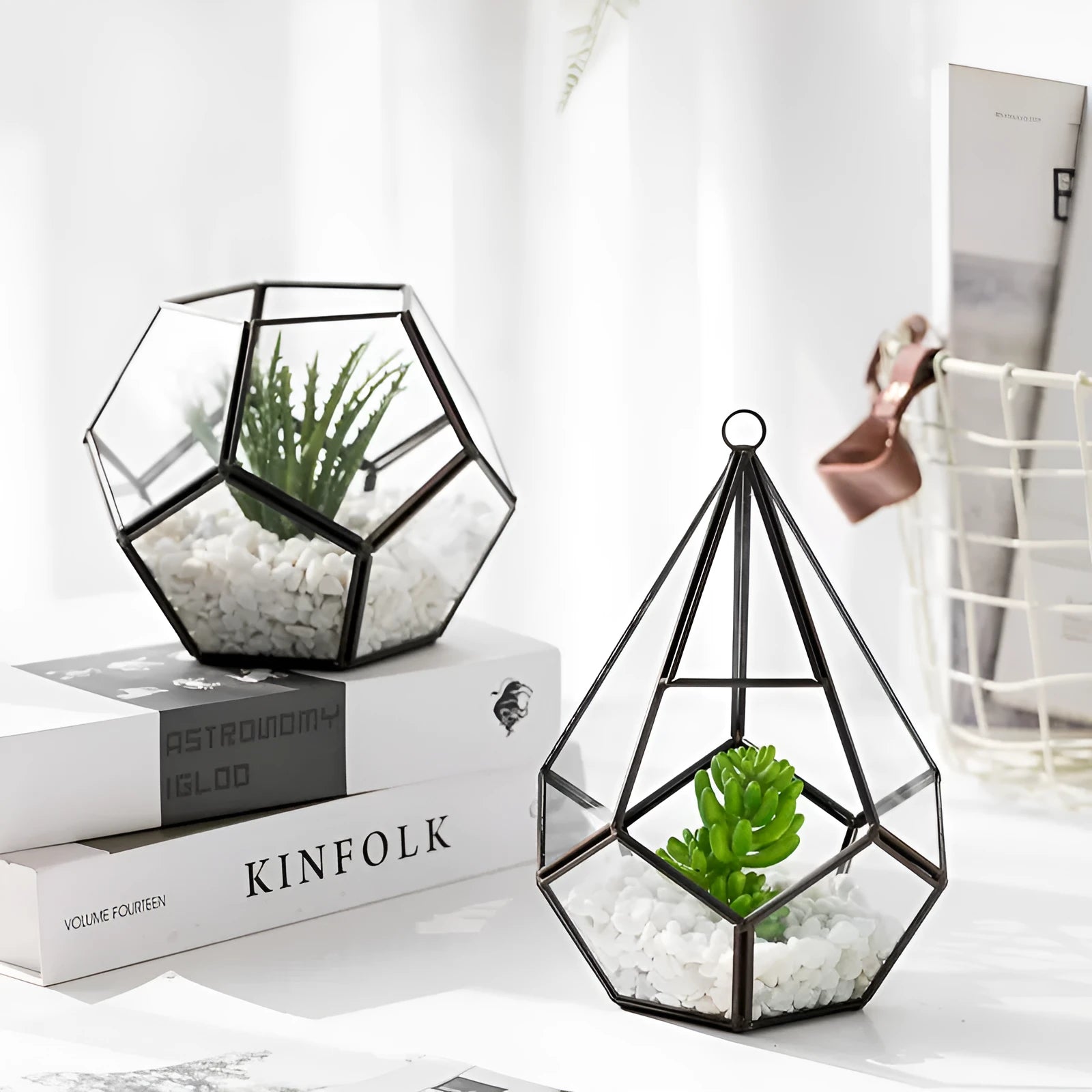 Modern metal and glass succulent bonsai pot in two decorative styles and sizes for home decoration.