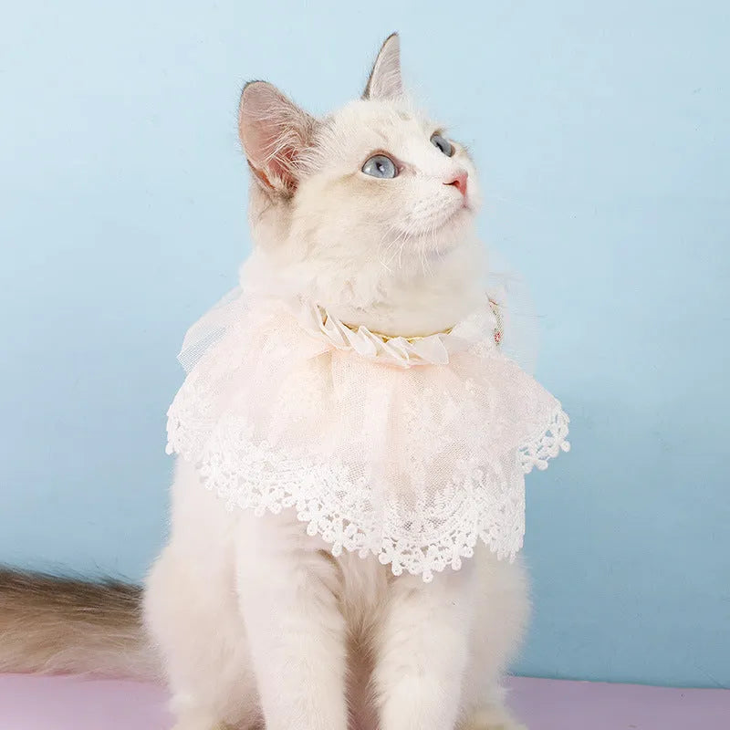 Pink lace gauze cat collar scarf with embroidered princess-style bib on small cat