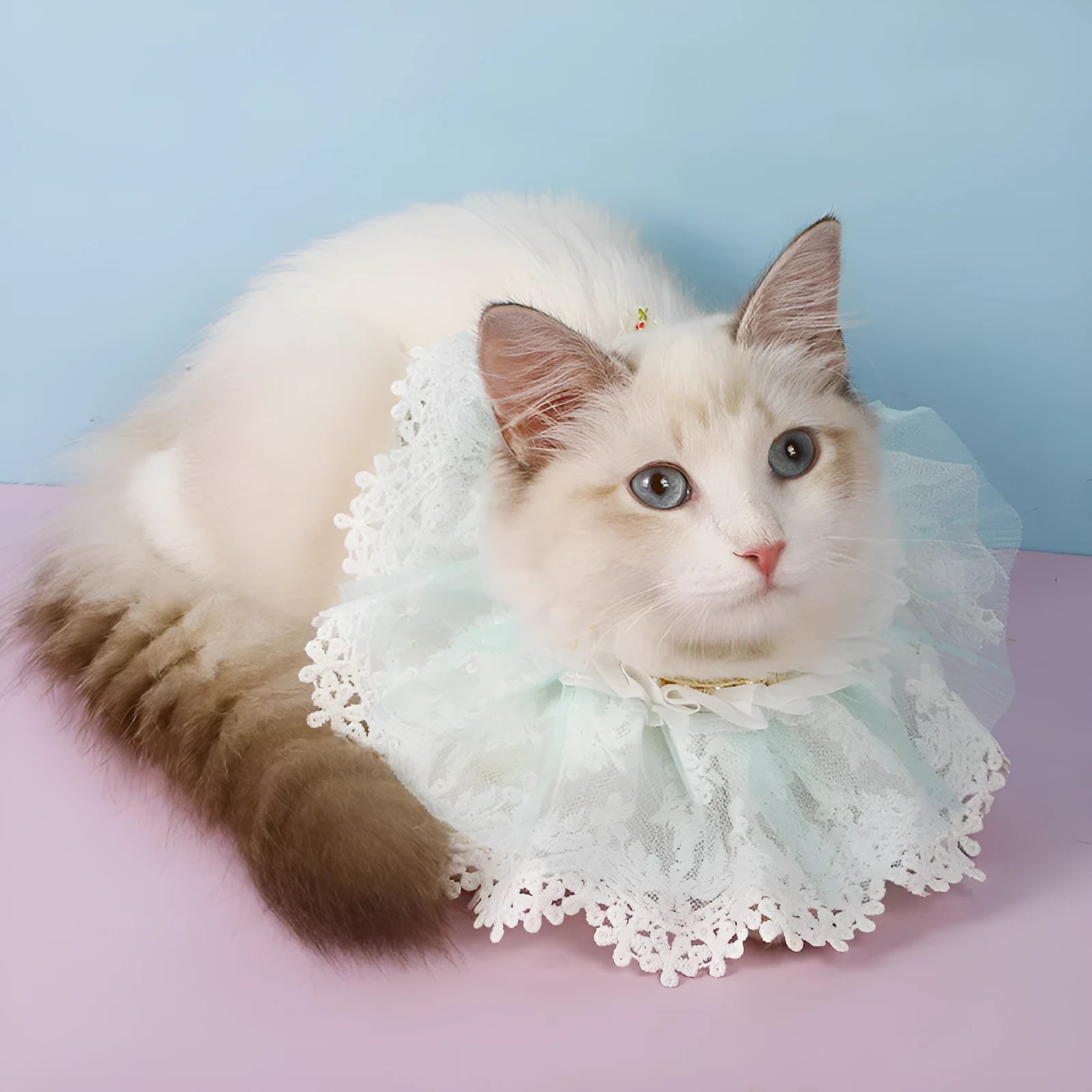 Pink lace gauze cat collar scarf with embroidered princess-style bib on small cat