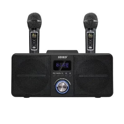 Black wireless Bluetooth speaker with dual microphones for home karaoke featuring 2.1 channel audio