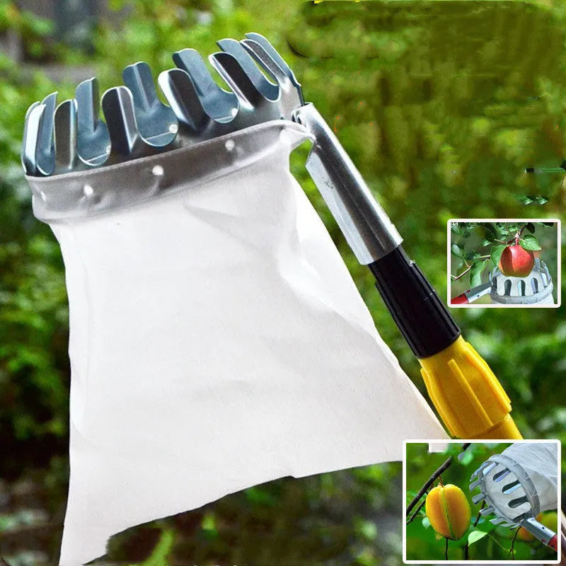 Steel frame fruit picker with cloth catching bag for harvesting pears and citrus