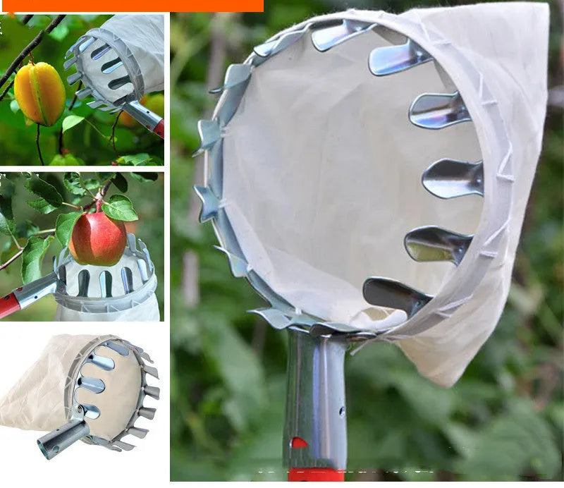 Steel frame fruit picker with cloth catching bag for harvesting pears and citrus