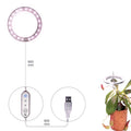 USB-powered full spectrum LED grow light with angel ring design for indoor plants